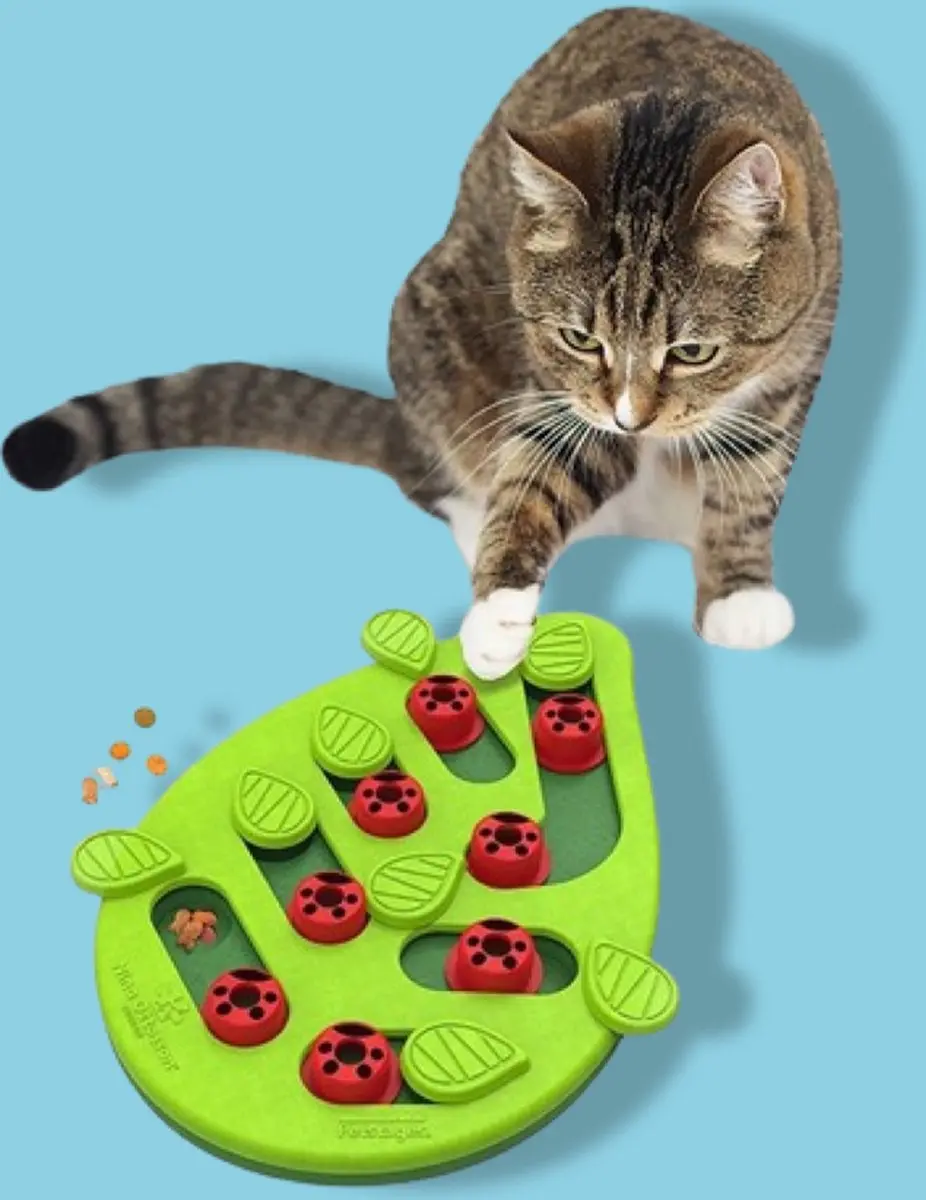 Nina Ottosson Puzzle & Play Buggin Out Kattenspel - Groen - afbeelding 6 van 6