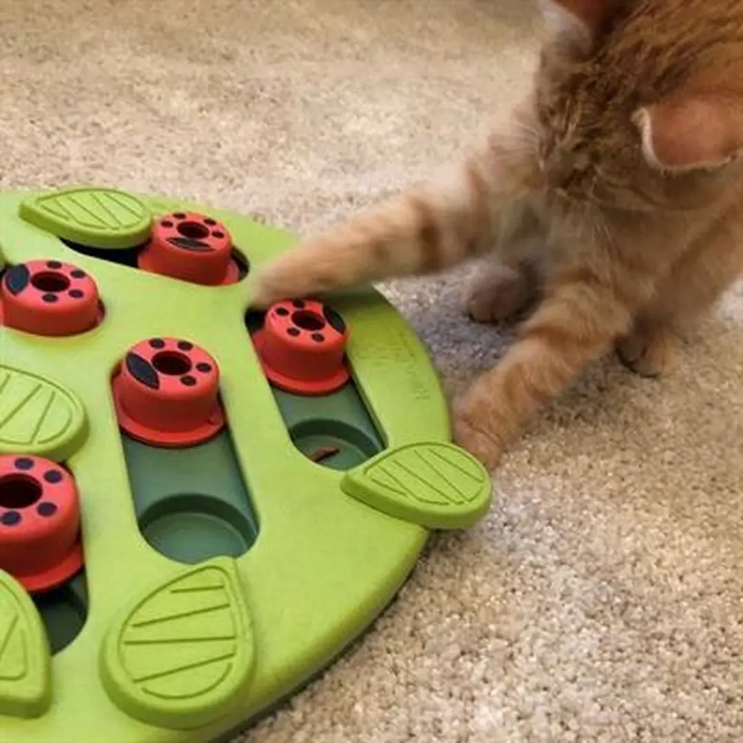 Nina Ottosson Puzzle & Play Buggin Out Kattenspel - Groen - afbeelding 3 van 6