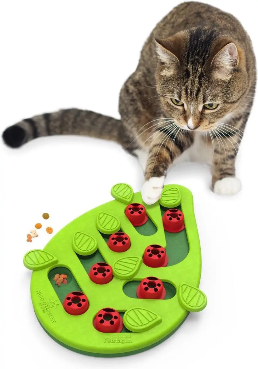 Nina Ottosson Puzzle & Play Buggin Out Kattenspel