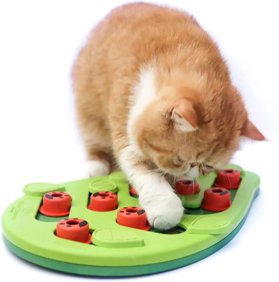 Nina Ottosson Puzzle & Play Buggin Out Kattenspel - Groen - afbeelding 2 van 6