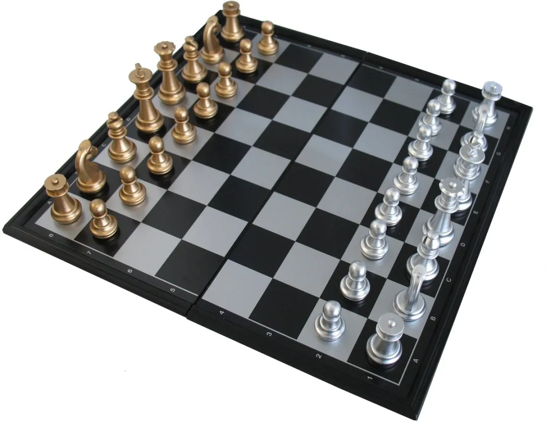 HOT Games Schaakcasus 670712