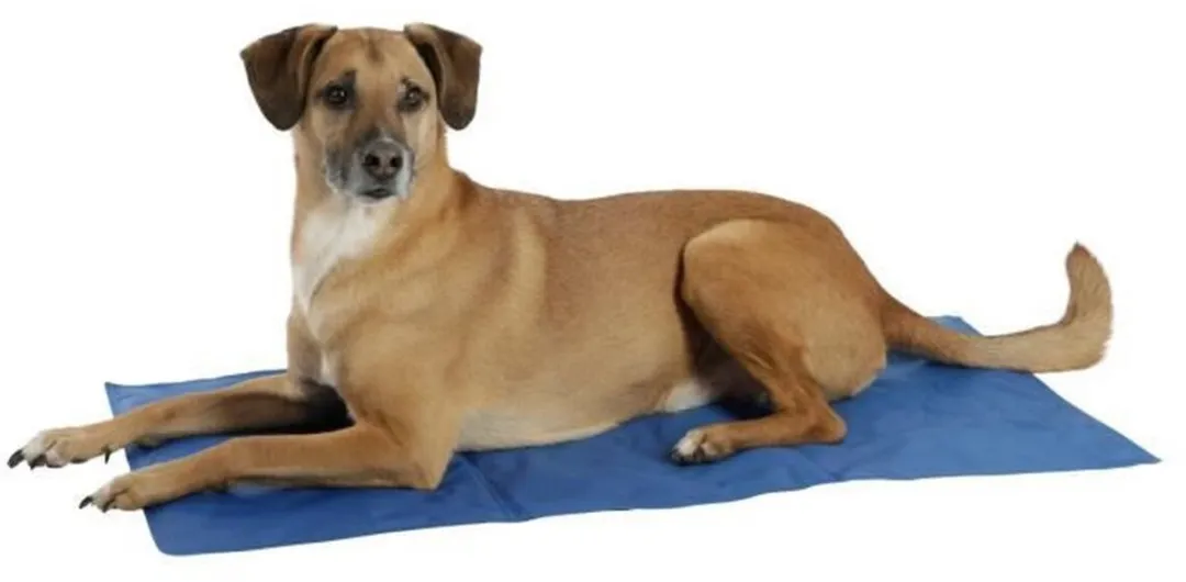 Kerbl Hondenbed - Blauw