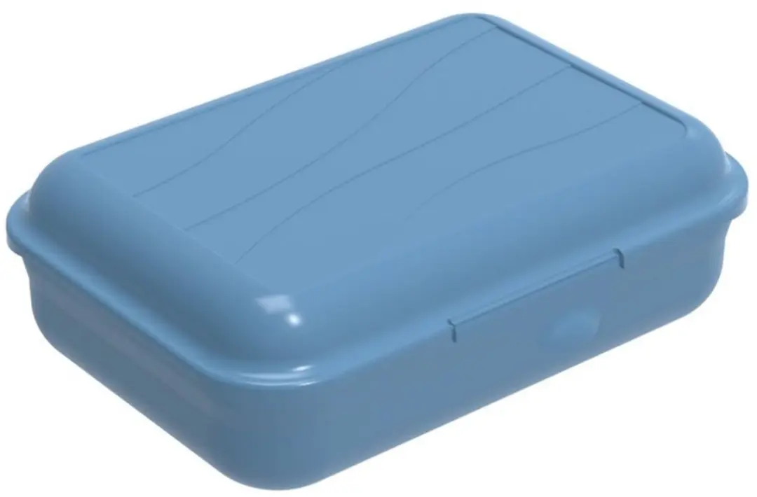 Rotho Fun Lunchbox met Verdeelschotje 0.9L