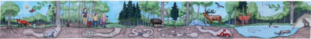 Beleduc Ontdek Het Bos Vloerpuzzel 35 Stuks