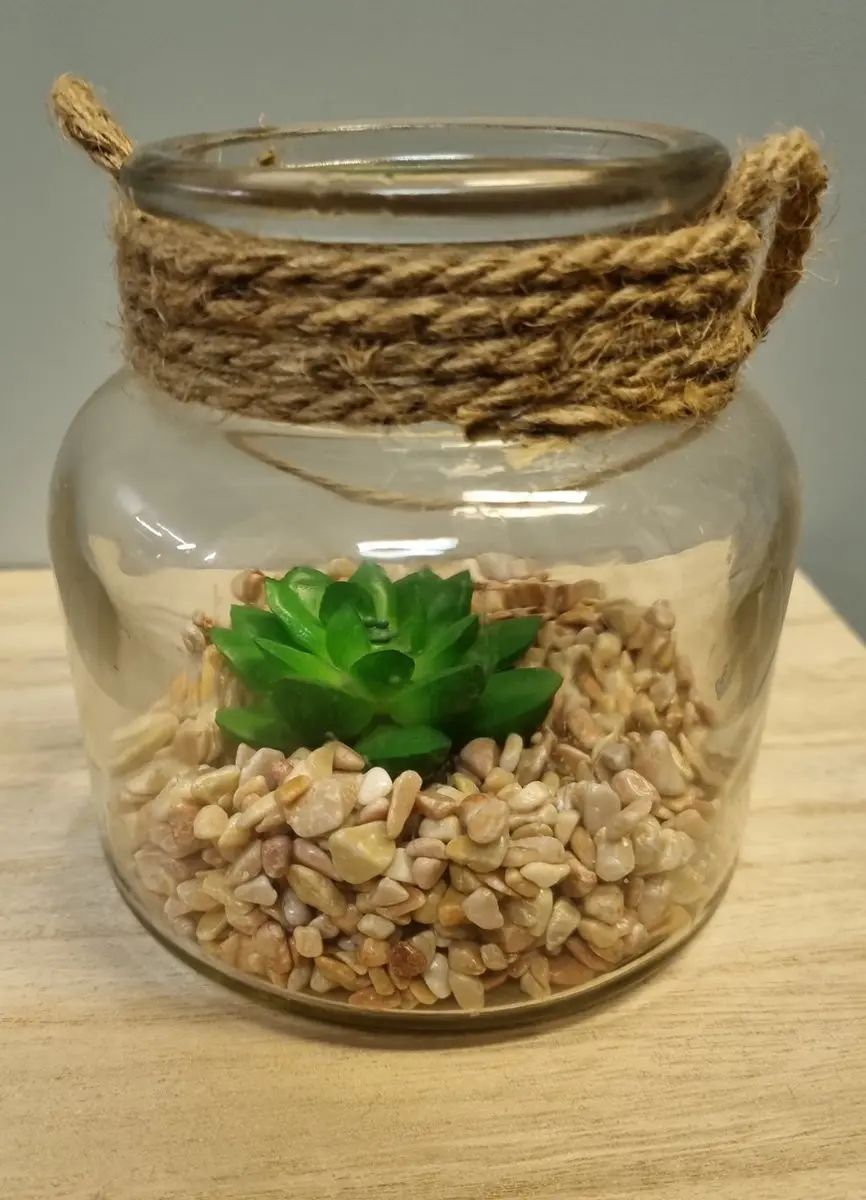 Countryfield vetplant in pot S