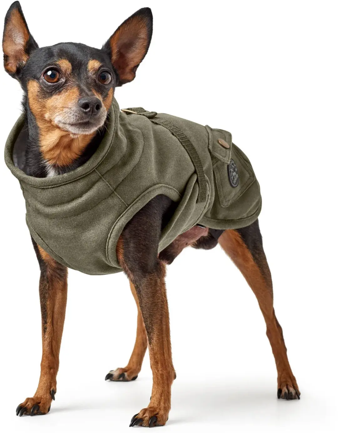 Hondenjas Khaki Maat 25