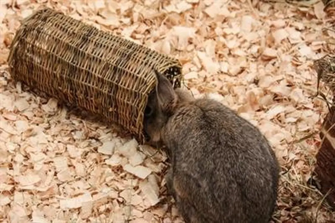 Happy Pet Wilgen Tunnel - Small 27x13x13cm - afbeelding 3 van 5