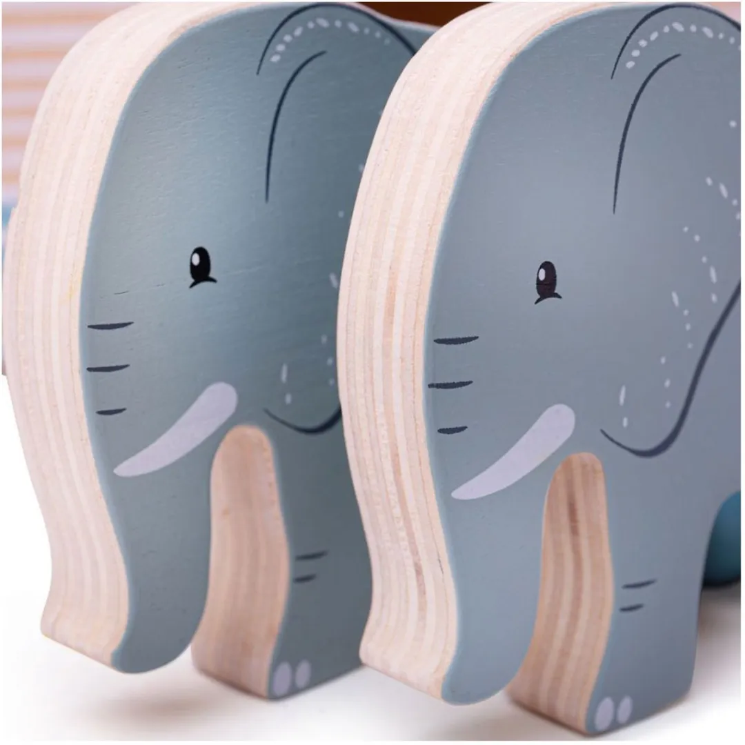 BIGJIGS Ark van Noach 32013 - Multikleuren