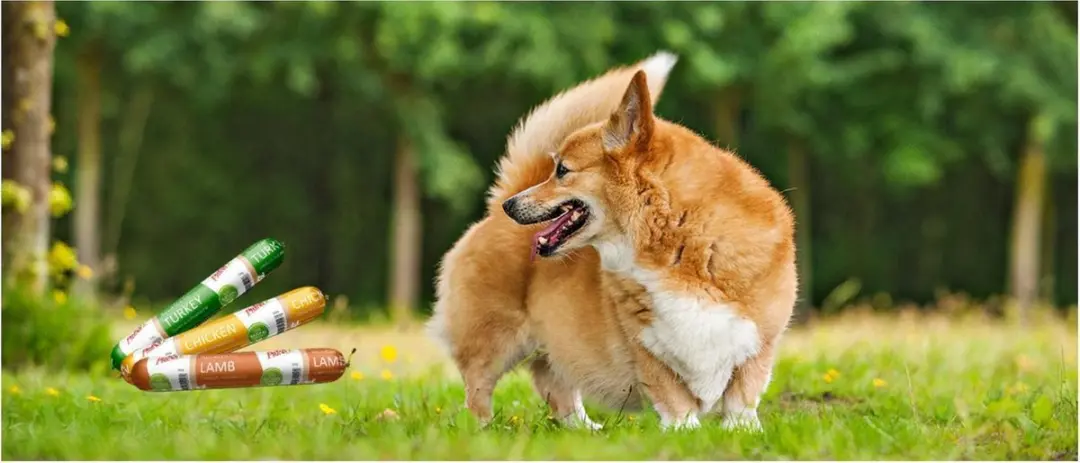 Prins NatureCare Kip Worst voor Hond 250g - afbeelding 5 van 6
