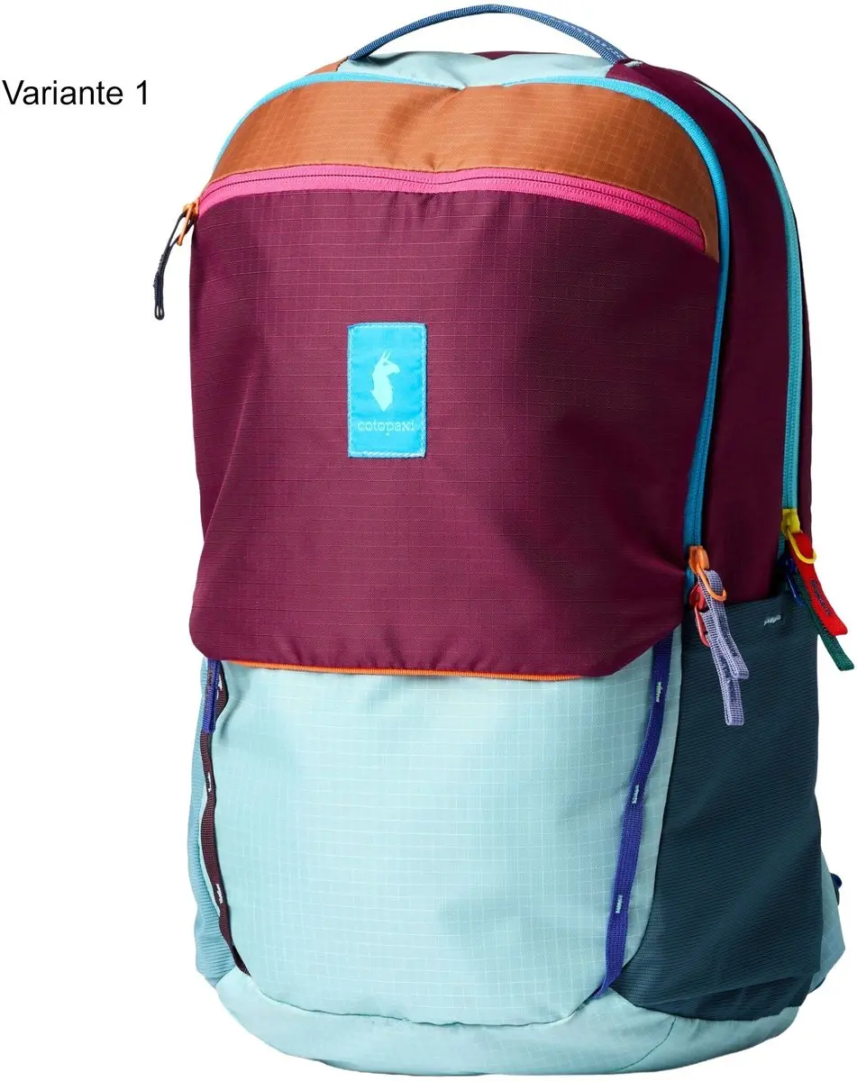 Cotopaxi Allpa 26L Daypack Rugzak