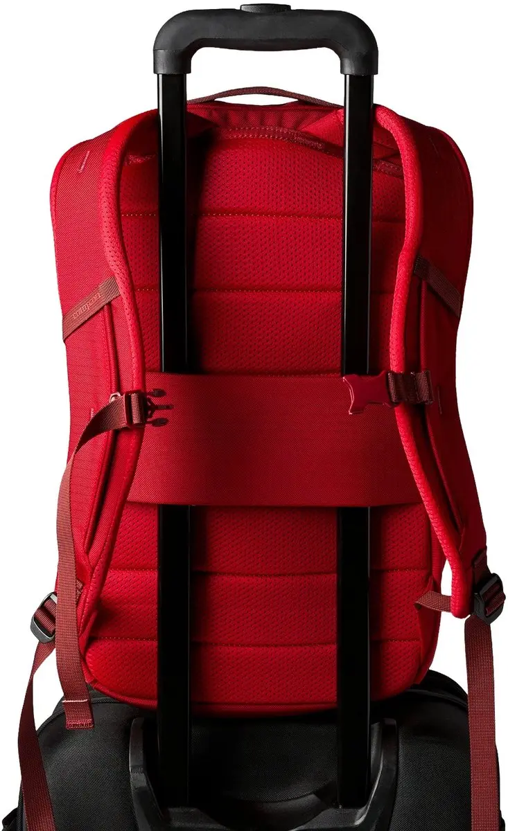 Cotopaxi Allpa 18L Daypack - Rood - afbeelding 5 van 6