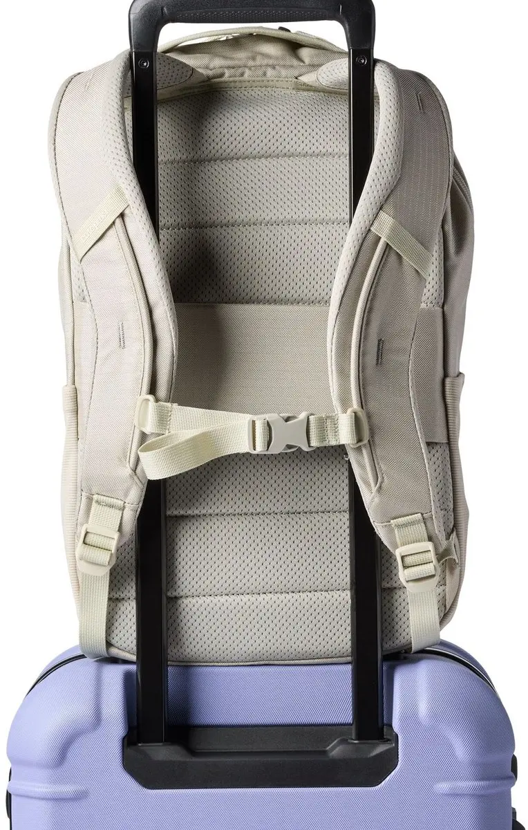 Cotopaxi Allpa 18L Daypack - Mineral - afbeelding 5 van 6
