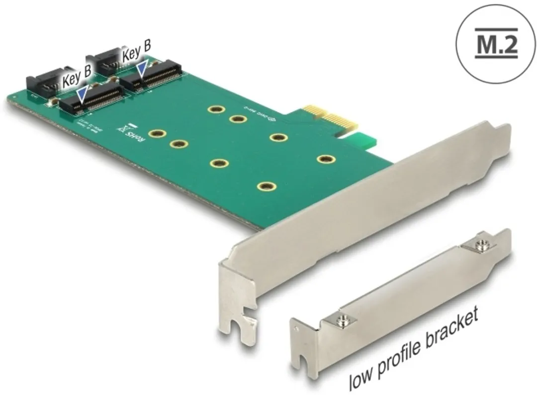 Delock PCIe x1 Kaart 2x M.2 Key B 110mm - Low Profile - Groen/Zilver
