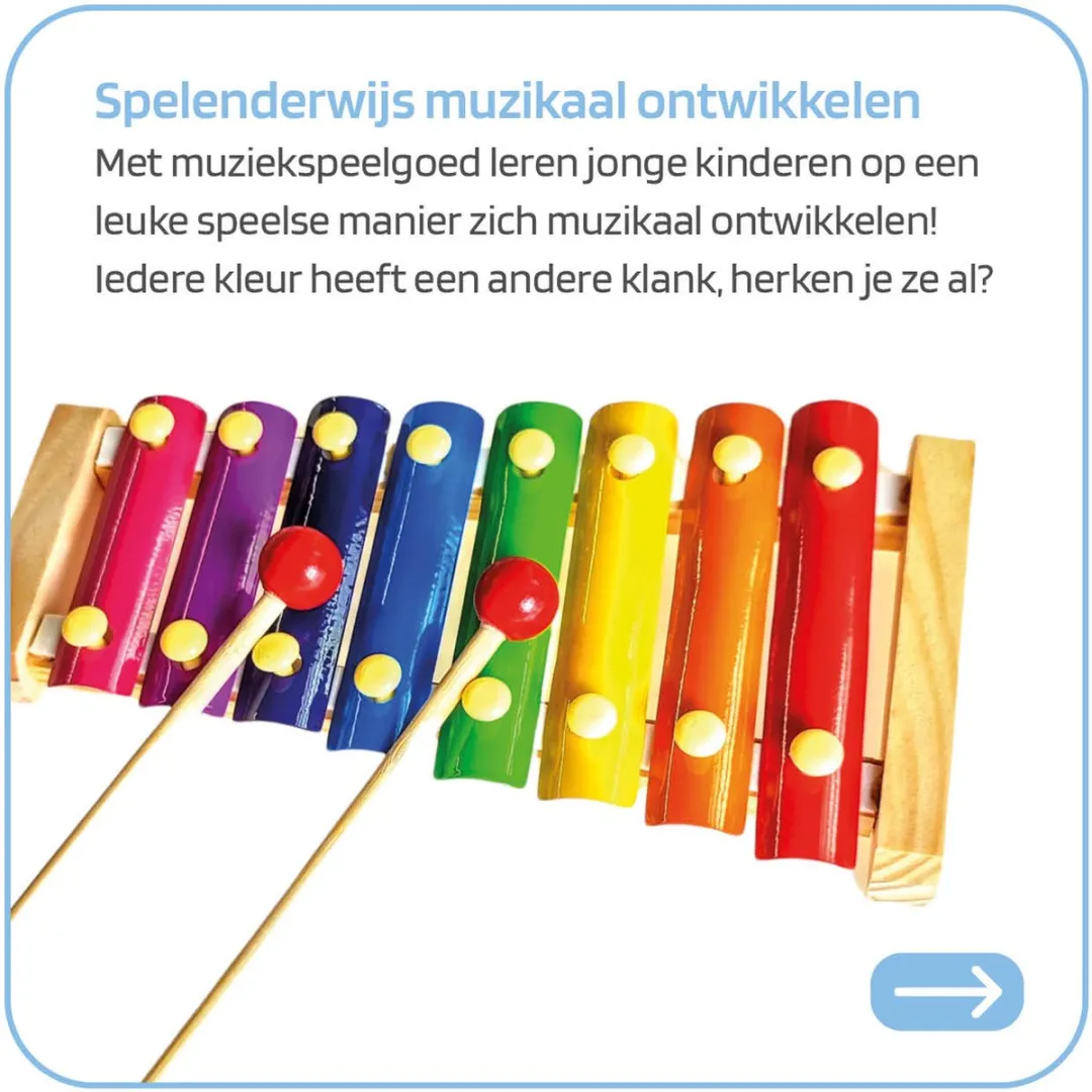 Jobber Toys Xylofoon Houten Speelgoed - Multicolor