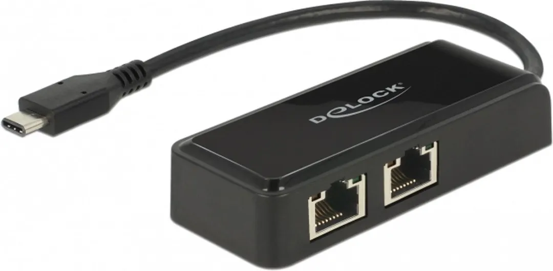 Delock USB 3.1 Type-C naar 2x RJ-45 Kabeladapter
