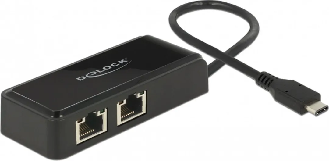Delock USB 3.1 Type-C naar 2x RJ-45 Kabeladapter - Zwart