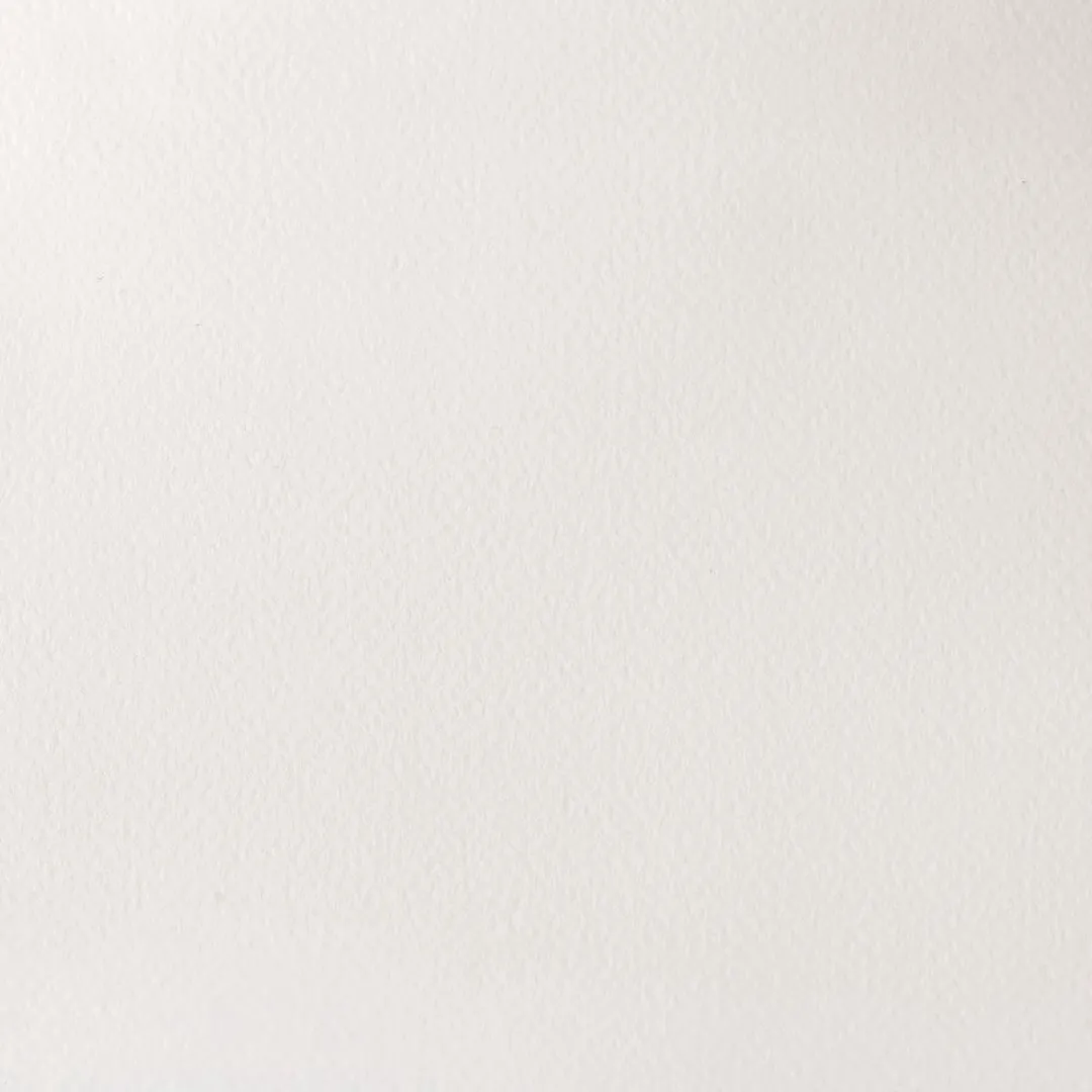 Winsor & Newton Professional Aquarelverf Titanium White 5ml