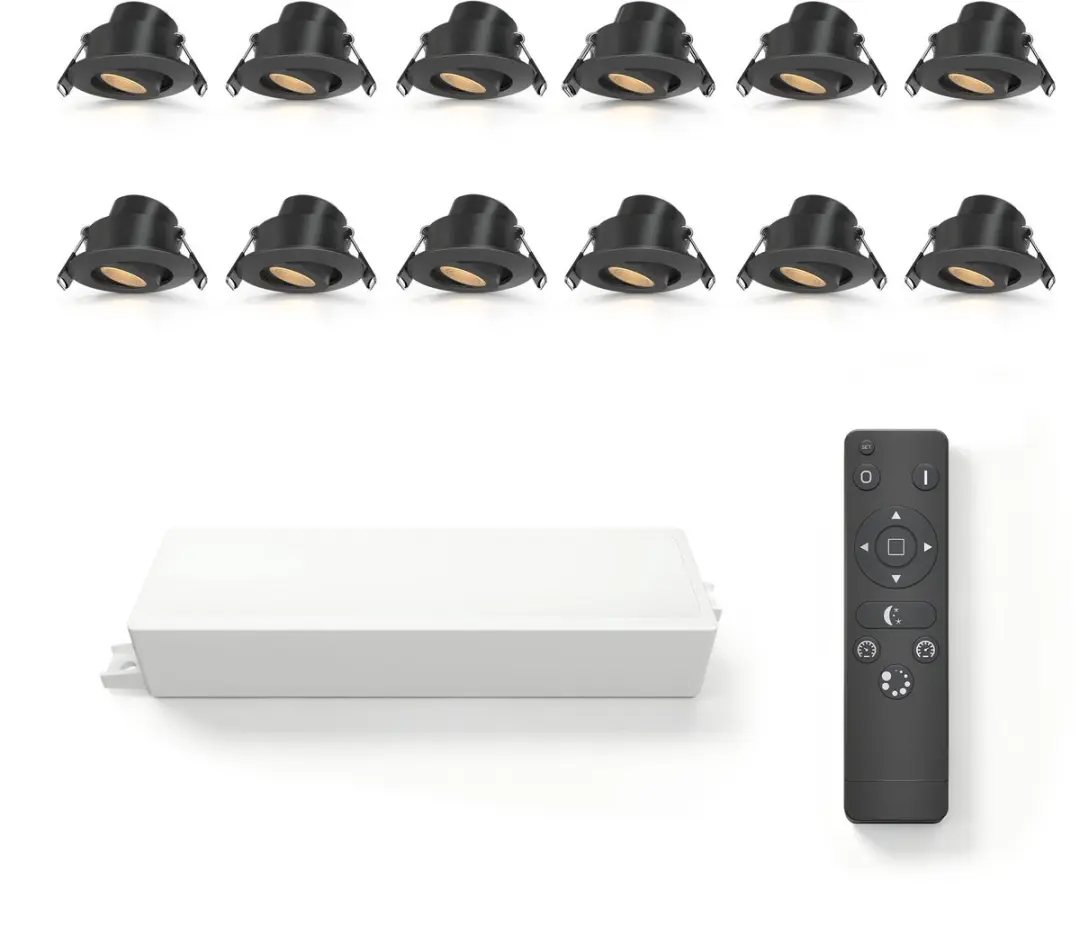 Ledvion 12 stuks LED Inbouwspot ø42mm IP65 3W Zwart 2700K Kantelbaar