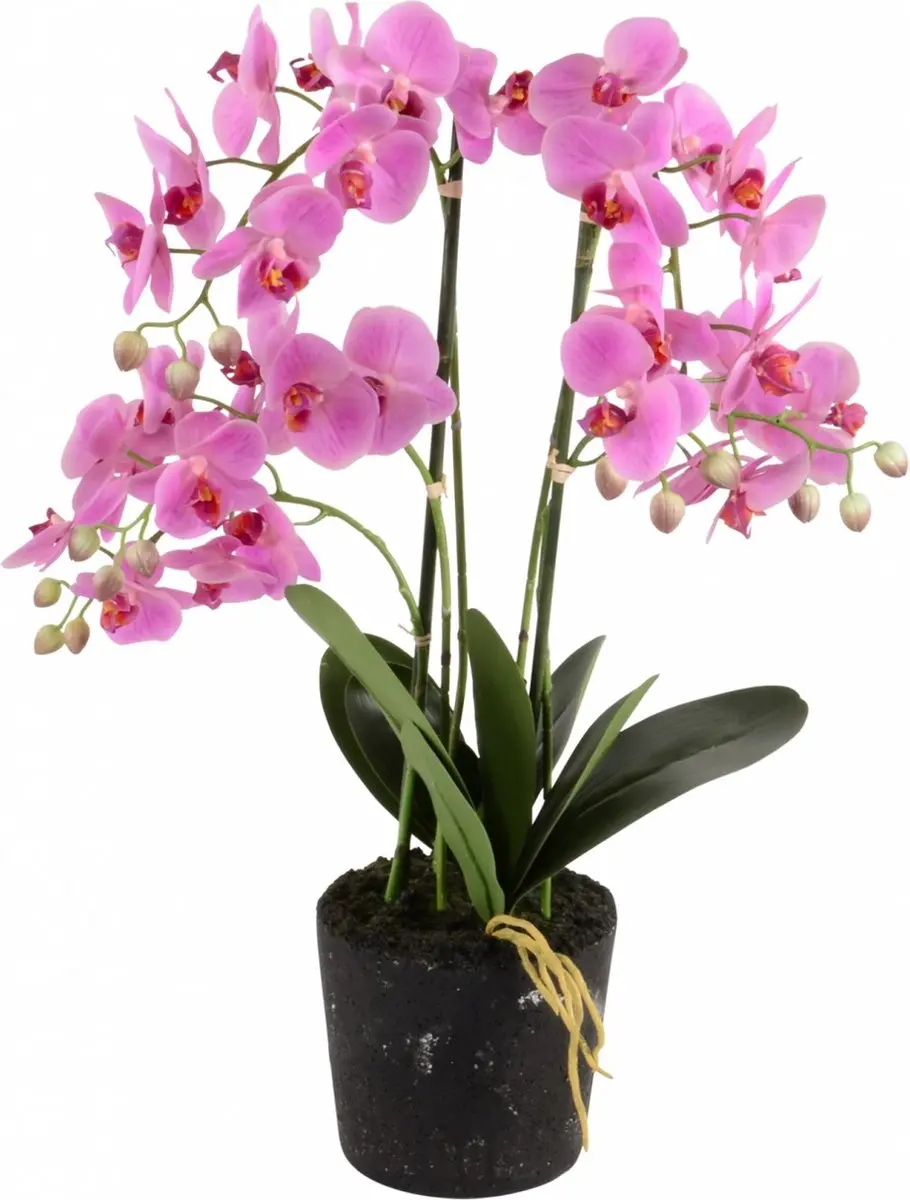 Noach Outdoor Kunstplant Orchidee Roze