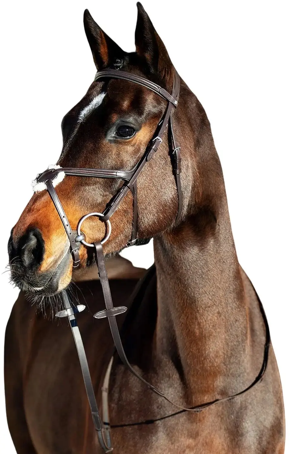 Snaffle hoofdstellen voor gekruiste paarden Horze Prescott