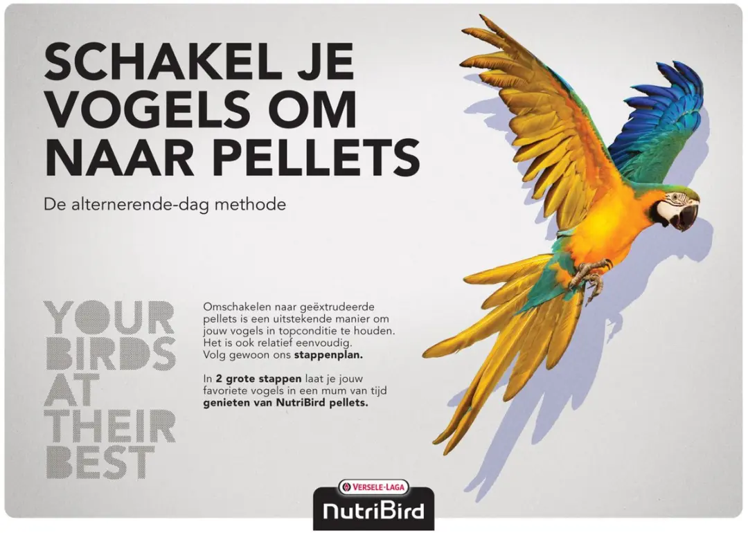 Versele-Laga Nutribird C19 Original Kanarie Kweekvoer - 3kg - afbeelding 2 van 6