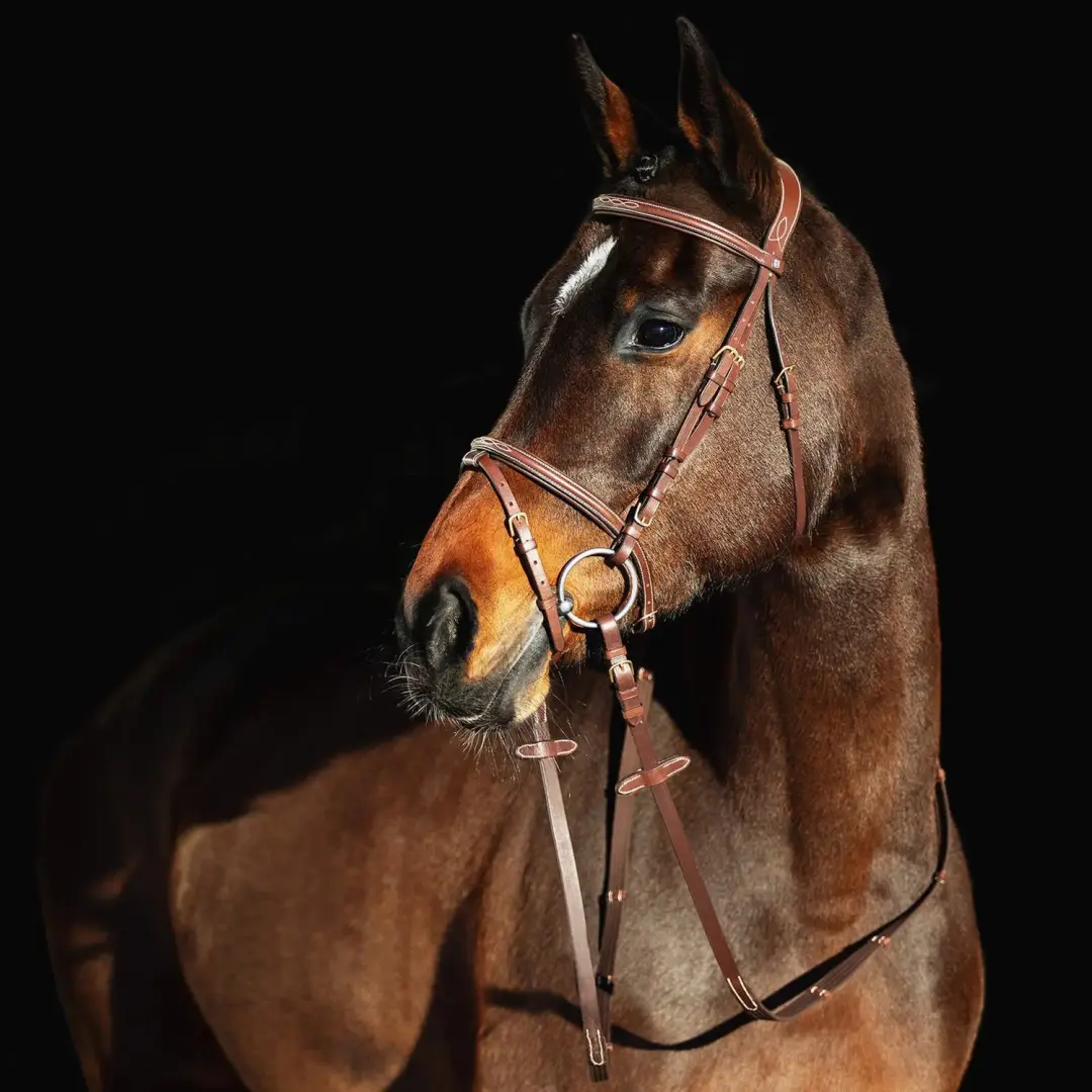 Paardenhoofdstellen met gevoerde paardenneusriem Horze Constance