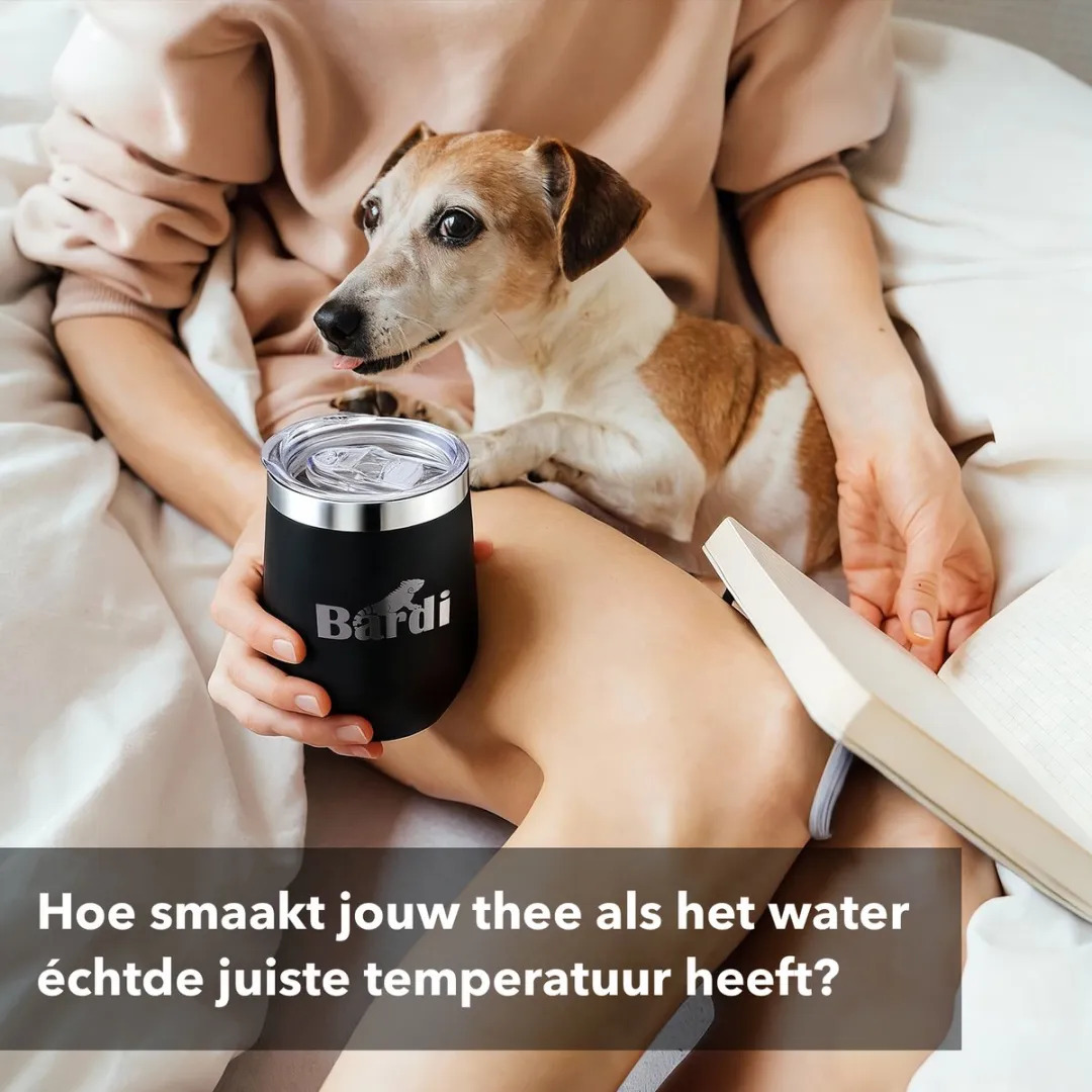 Bardi Heetwaterdispenser 2,6L - 6 Temperatuurstanden - RVS