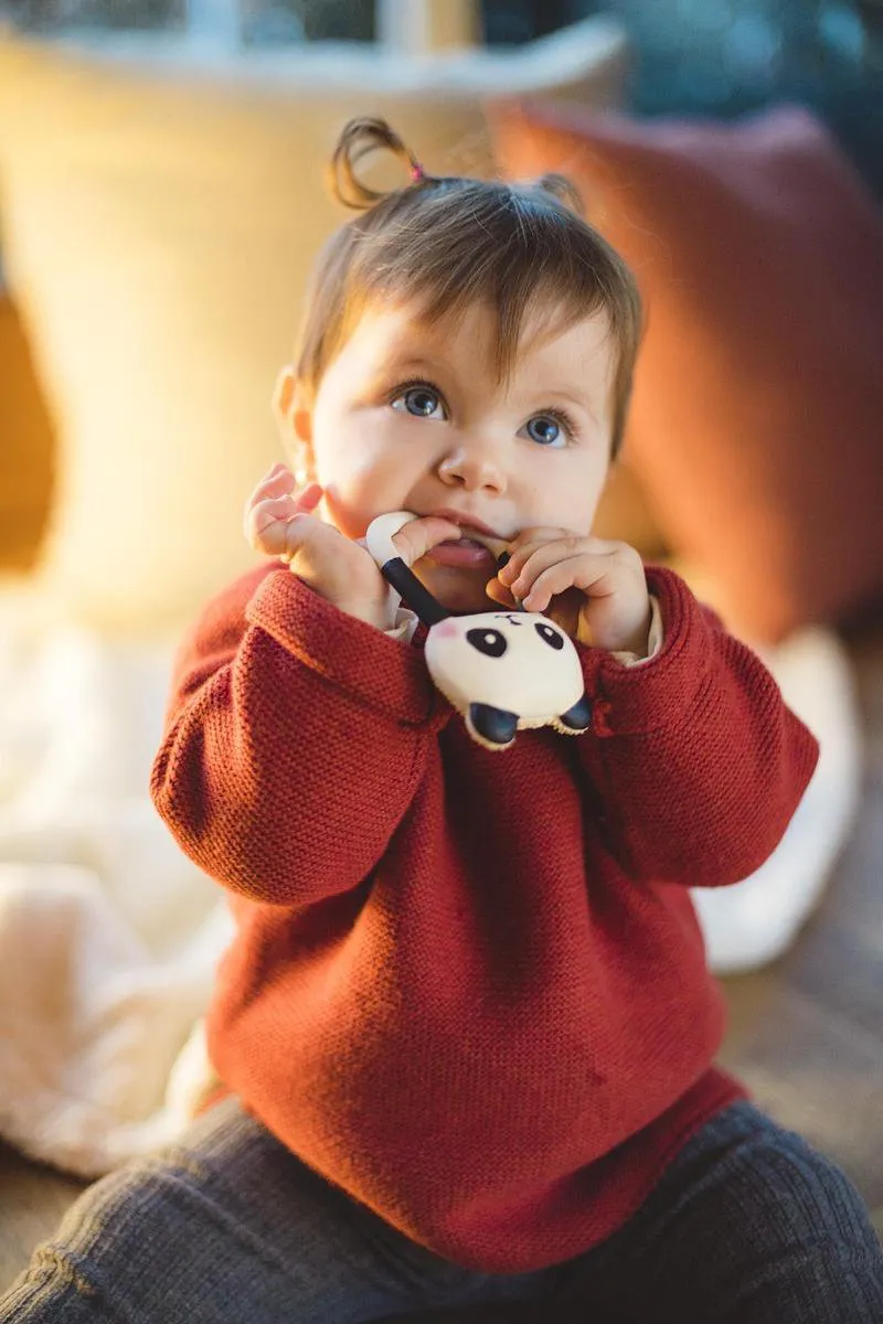 Lanco rubberen bijtring - Kori de Panda - zwart - wit