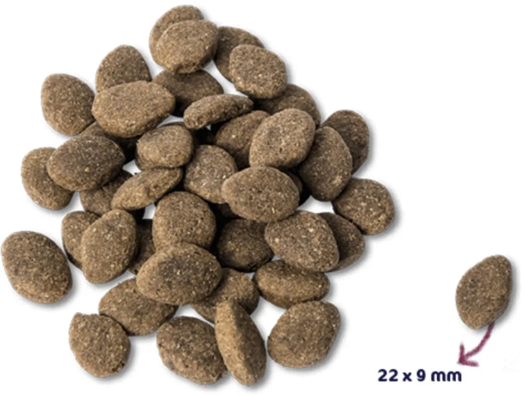 Renske Adult Lam Hondenvoer Graanvrij 2kg