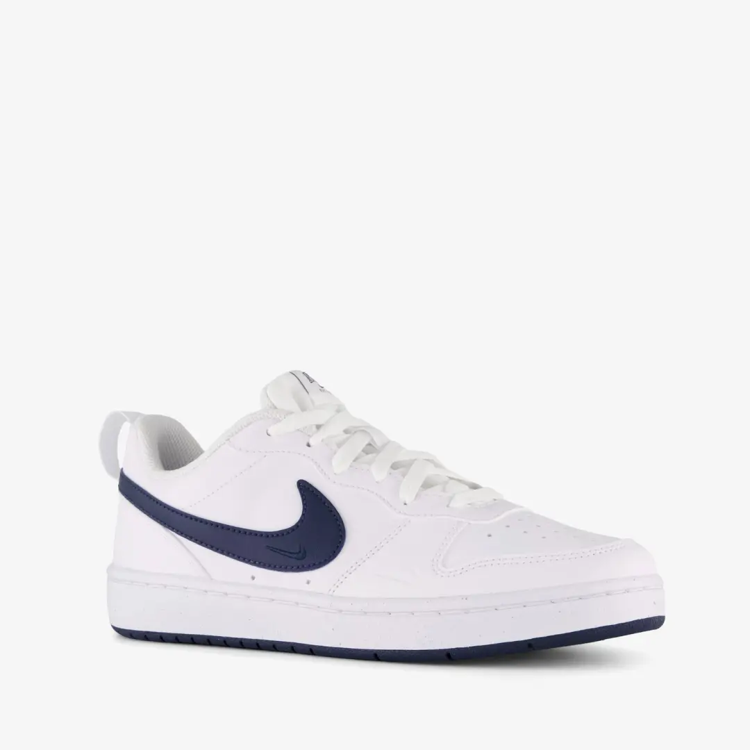Nike Court Borough Low Sneakers