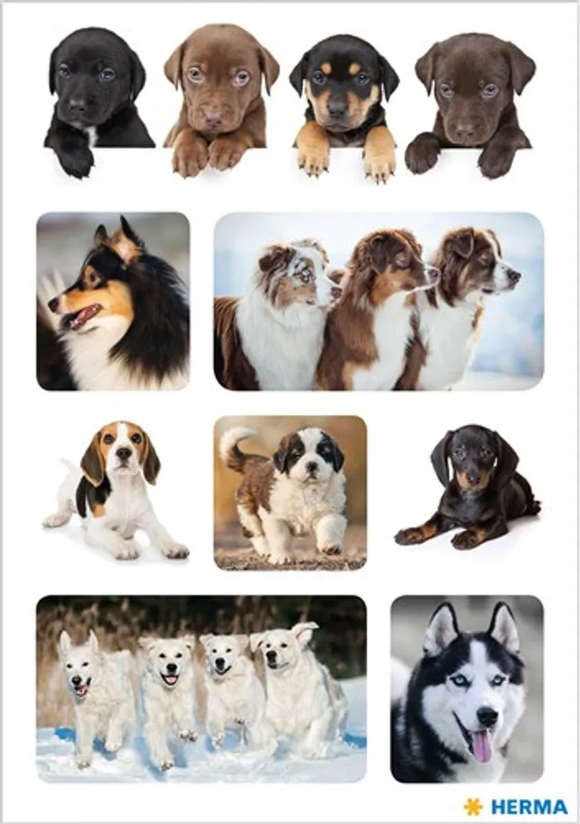 Herma Haza Original Stickers Honden