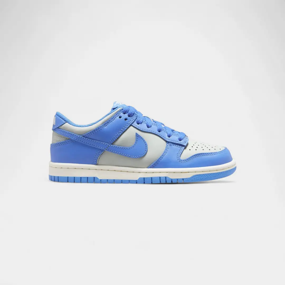 Nike Dunk Low Light Silver Sail Light Photo Blue (GS)