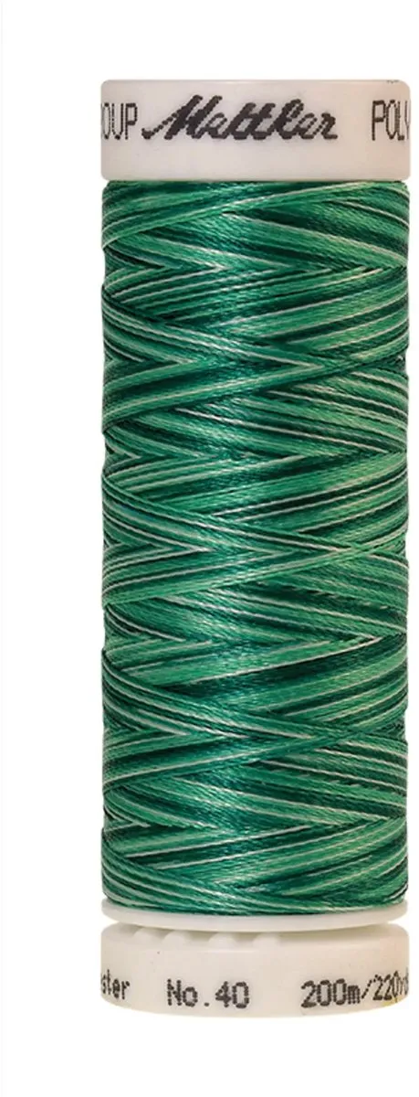 Amann Mettler Poly Multi Borduurgaren 9931 - 200m Multicolor