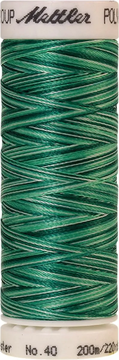 Amann Mettler Poly Multi Borduurgaren 9931 - 200m Multicolor