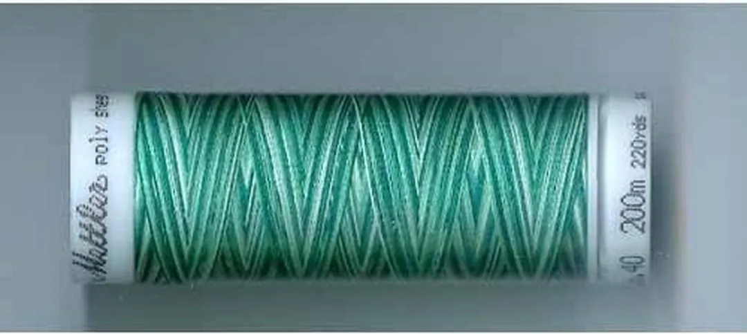 Amann Mettler Poly Multi Borduurgaren 9931 - 200m Multicolor