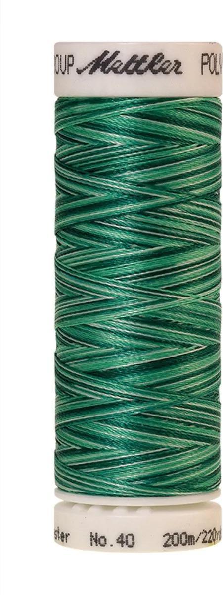 Amann Mettler Poly Multi Borduurgaren 9931