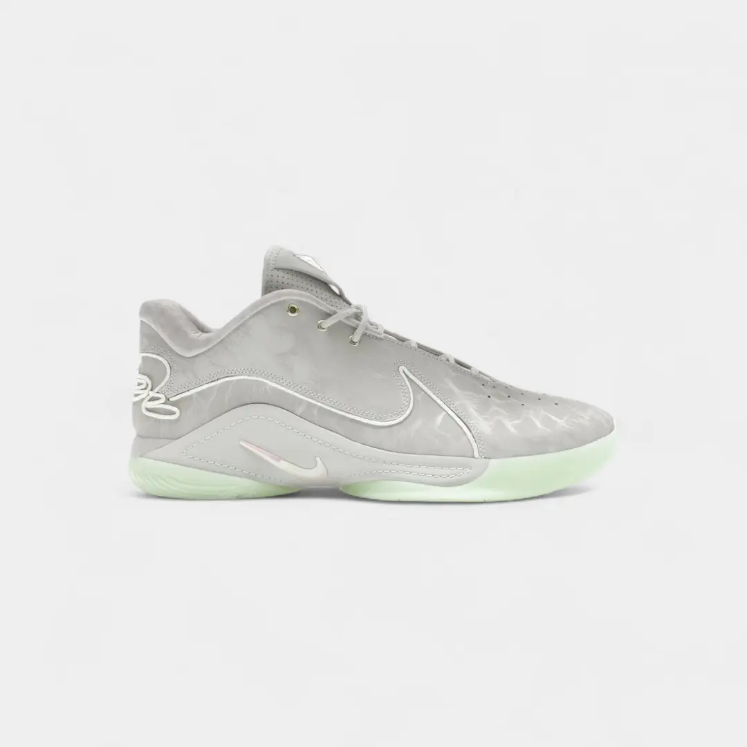 Nike LeBron 22 Dunkman (Translucent Outsole)