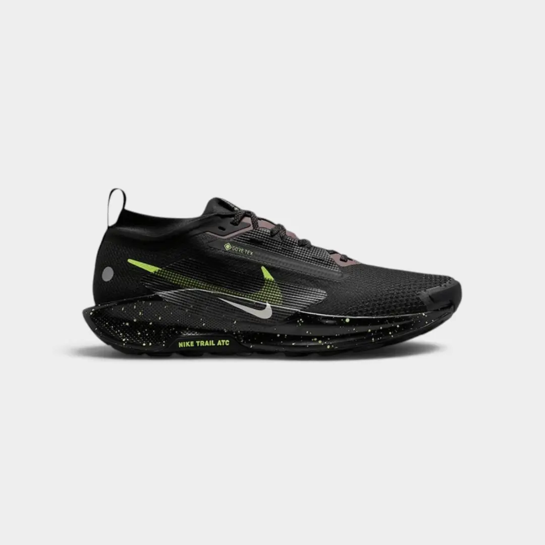 Nike Pegasus Trail 5 GORE-TEX (Men)