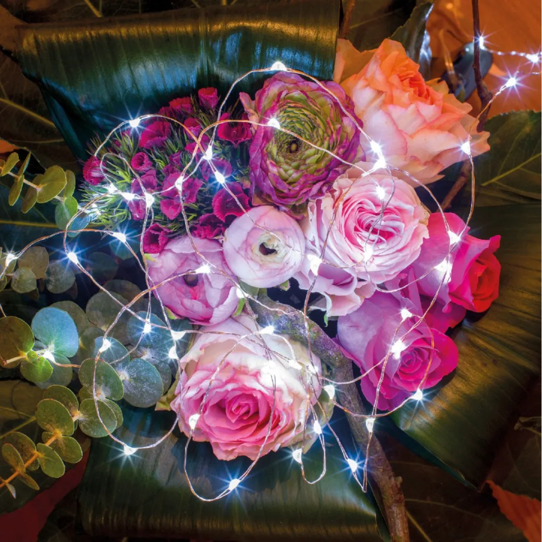 Lumineo Micro Draadverlichting 60 LED - 95cm - Heldere wit