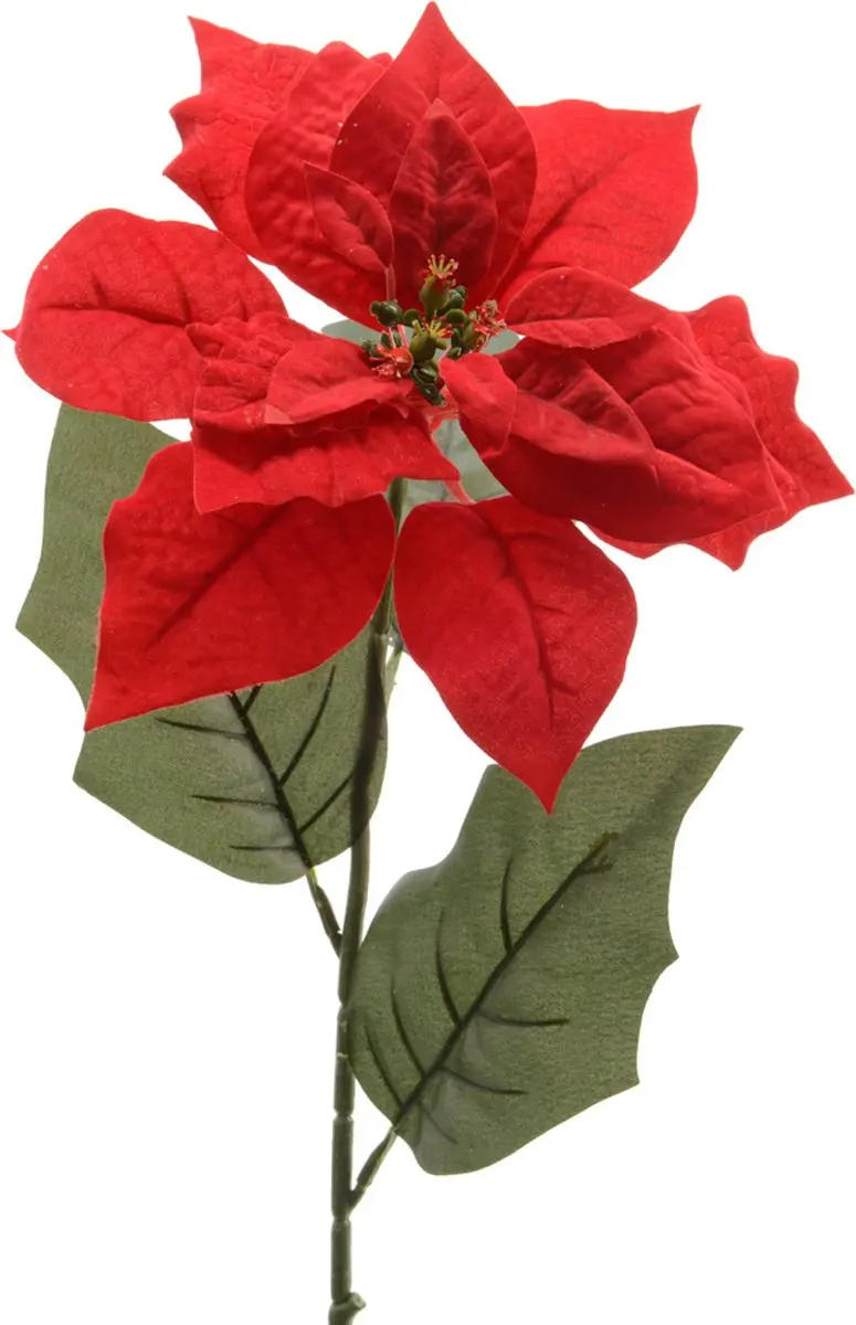 Poinsettia zijde l22b23h67 cm k.rood