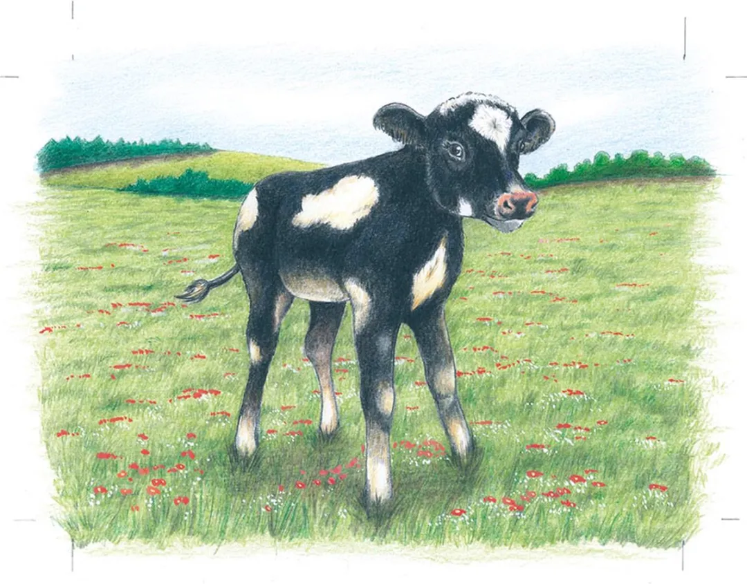 Goki Farm Animals Kubuspuzzel 9-delig - Veelkleurig