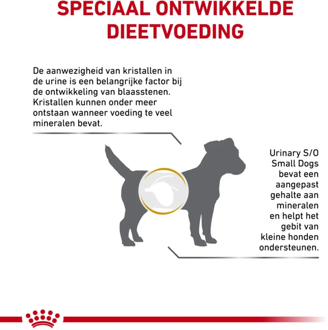Royal Canin Veterinary Diet Urinary S/O Small Hondenvoer Droog - 1,5 kg - afbeelding 2 van 5