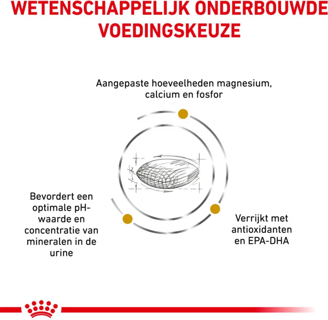 Royal Canin Veterinary Diet Urinary S/O Hondenvoer Droog - 13kg - afbeelding 3 van 5
