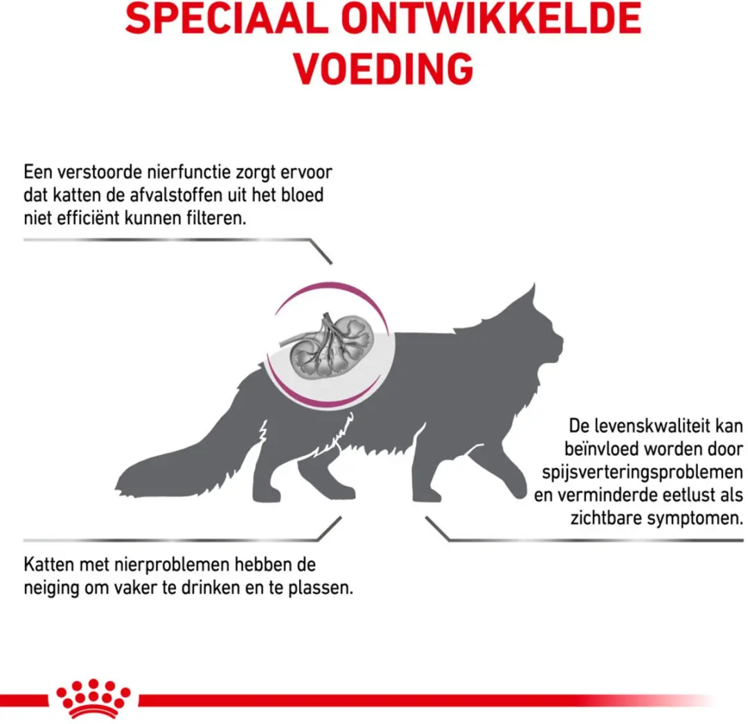 Royal Canin Veterinary Diet Renal Select Kattenvoer Droog 4kg - afbeelding 3 van 5
