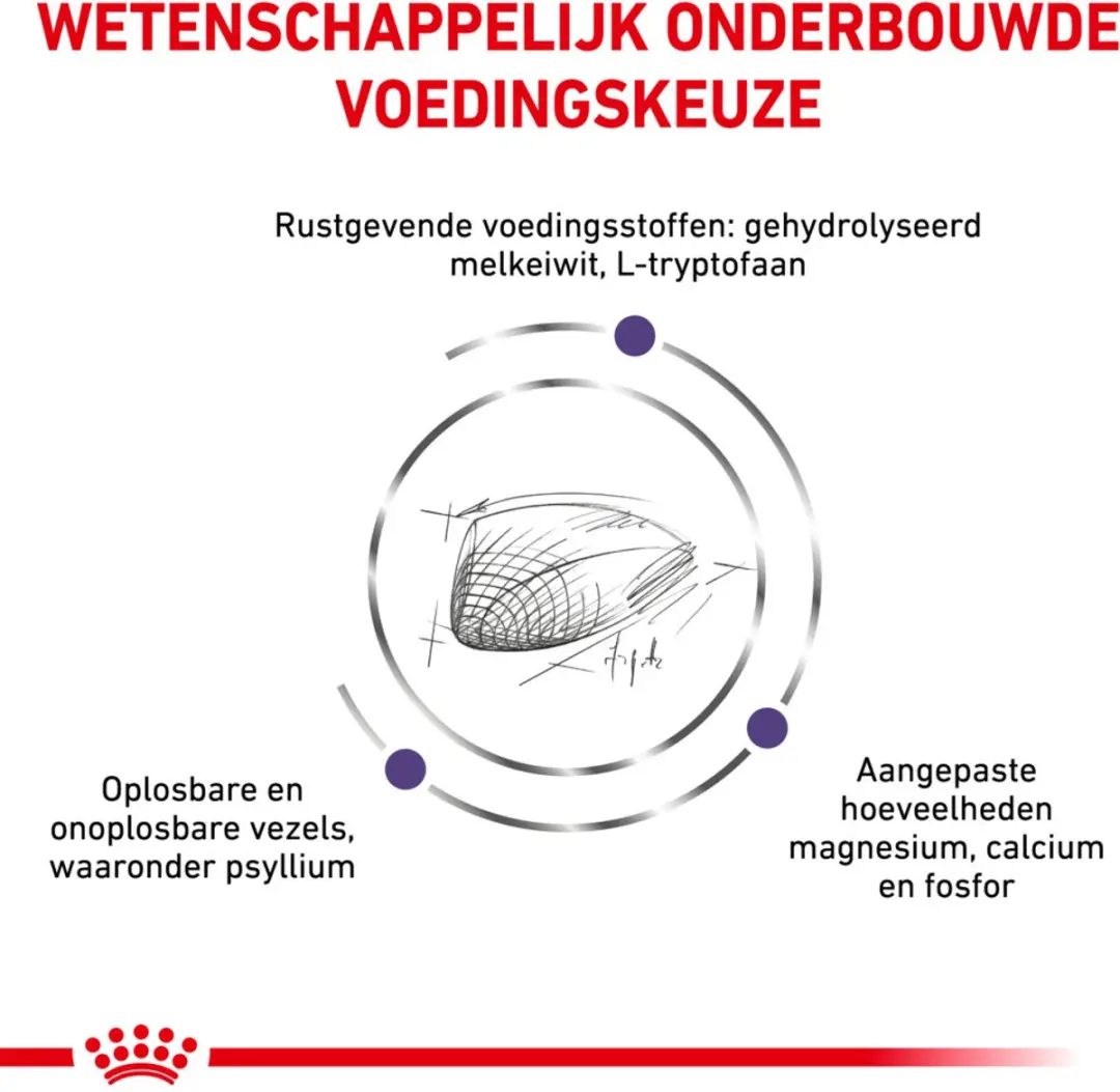 Royal Canin Calm Kattenvoer Droog 2kg - afbeelding 4 van 5