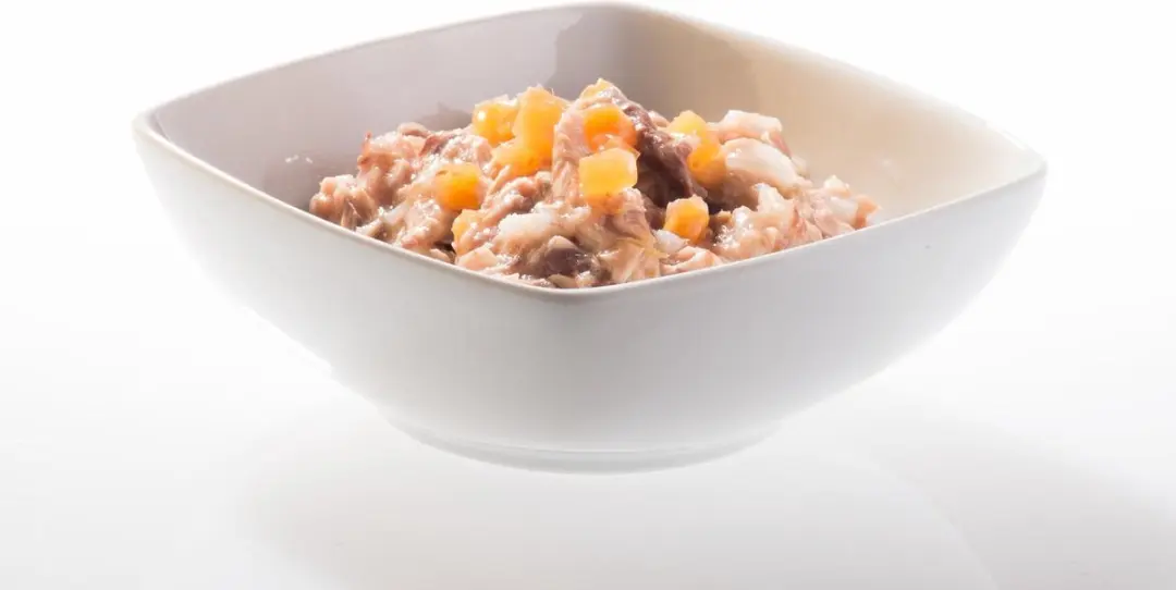 Schesir Tonijn & Pompoen Kat Natvoer - 14 x 70g - afbeelding 4 van 6