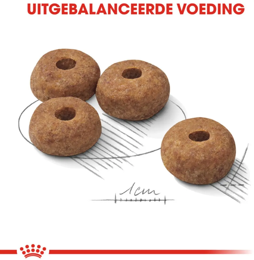 Royal Canin Sterilised Medium Hondenvoer Droog - 4 x 3 kg - afbeelding 2 van 5