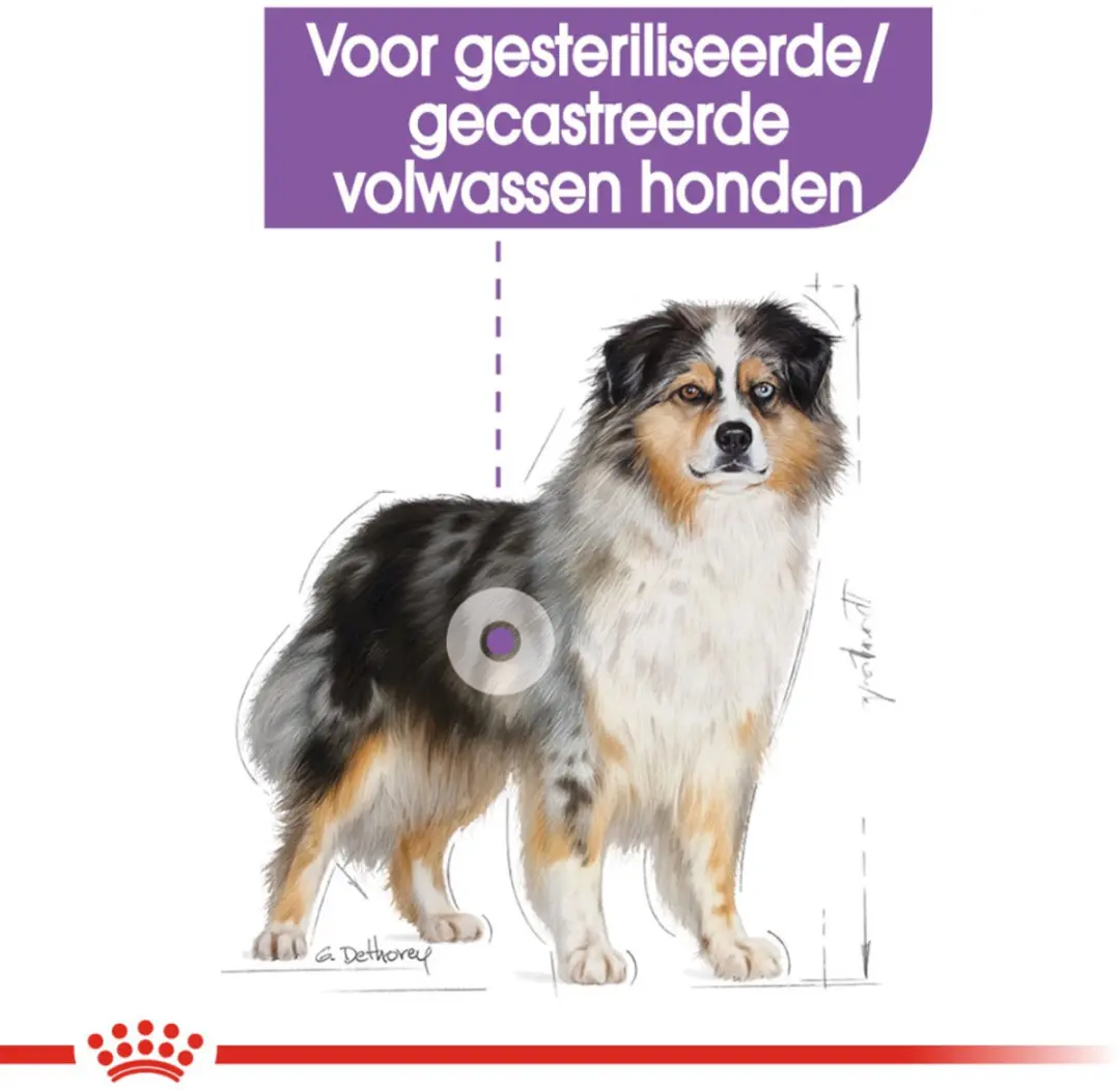 Royal Canin