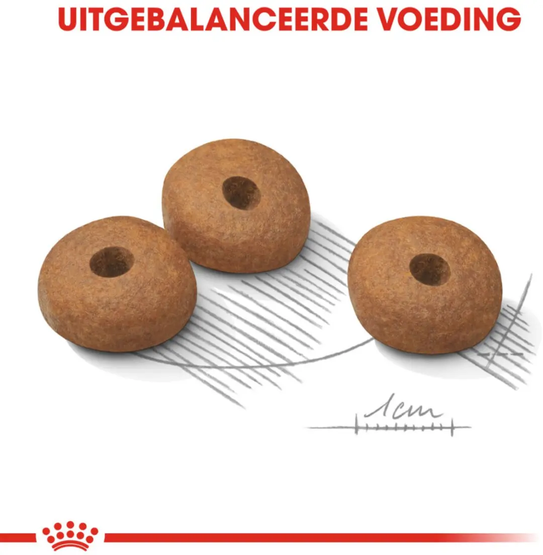 Royal Canin Light Weight Care Mini - 6x 1kg - afbeelding 4 van 5