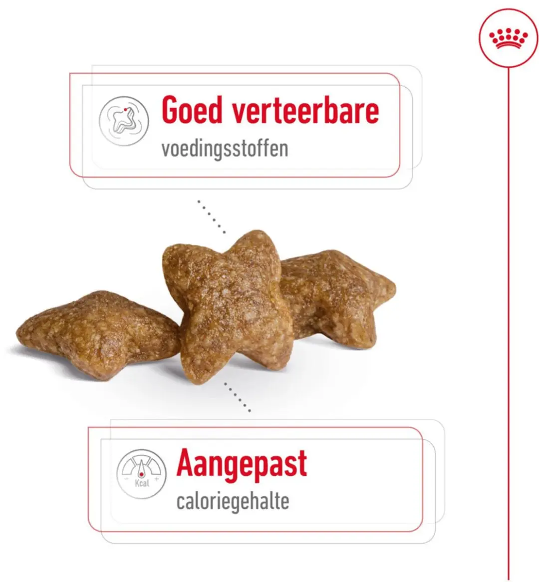 Royal Canin Mini Adult Hondenvoer Droog - 6x 2kg - afbeelding 3 van 6
